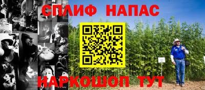 каннабис Кингисепп