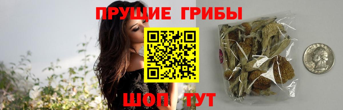 Галлюциногенные грибы ЛСД  Вход с VPN  Юрга 