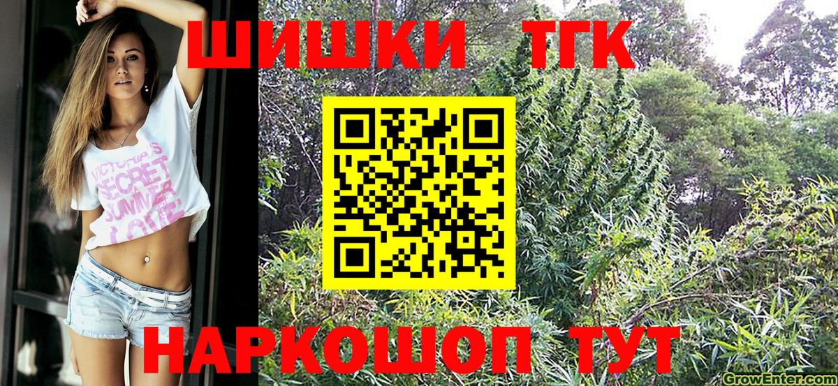 Конопля сатива Юрга